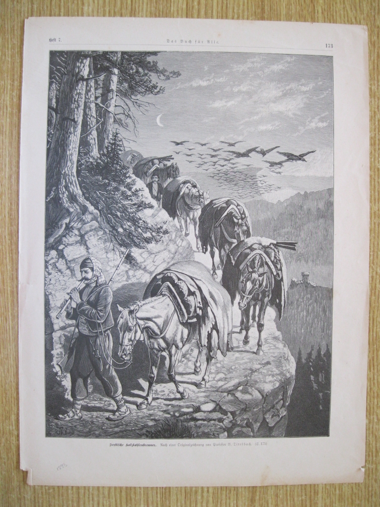 Transporte con caballos por la montaña, 1893